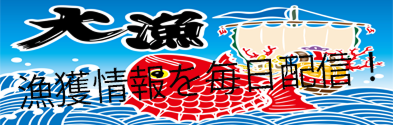 大漁 漁獲情報